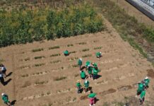 Projeto ‘Oeiras Experimenta’ premiado e financiado pela União Europeia Oeiras Experimenta