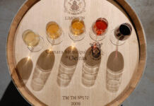 Dia Mundial do Enoturismo em Oeiras