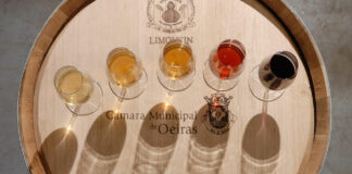 Dia Mundial do Enoturismo em Oeiras