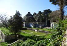 Vida Animal em Oeiras – Entre o Urbano e o Natural