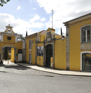 Dia Internacional dos Museus