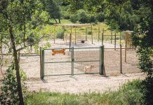 ASFA inaugura novo espaço para treino e socialização de animais
