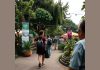 Festival Jardins do Marquês regressa a Oeiras com música e sofisticação