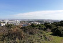 Incêndio na Serra de Carnaxide mobilizou 60 operacionais e 17 veículos
