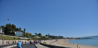 “Mexa-se na Marginal” fecha Avenida Marginal ao trânsito este domingo