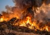 Incêndio de mato deflagra em Talaíde e obriga a trabalhos de rescaldo
