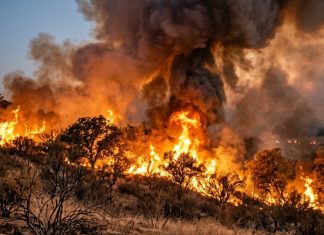 Incêndio de mato deflagra em Talaíde e obriga a trabalhos de rescaldo