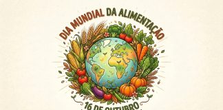 Inovar no prato para nutrir o amanhã: O desafio da alimentação na hemodiálise – Artigo de Opinião