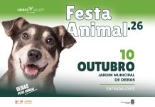 Festa Animal regressa a Oeiras este sábado com adoções e demonstrações caninas