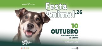 Festa Animal regressa a Oeiras este sábado com adoções e demonstrações caninas