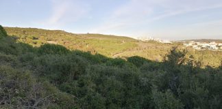 Moradores alertam para resíduos na Serra de Carnaxide e Câmara prepara intervenção