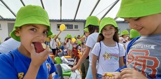 Heróis da Fruta desafia autarquias a promover alimentação saudável nas escolas